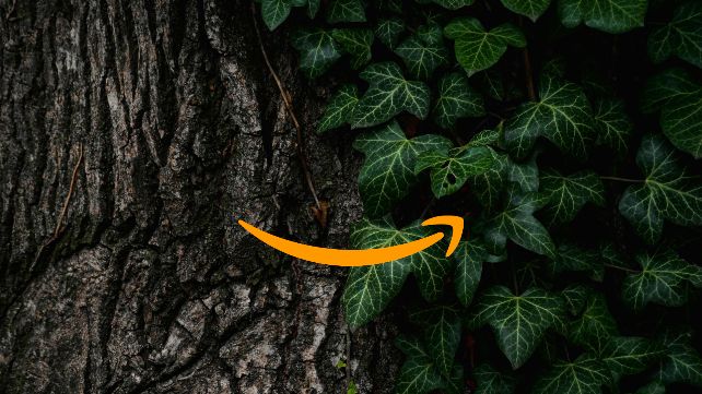 Amazon stawia na zrównoważony rozwój