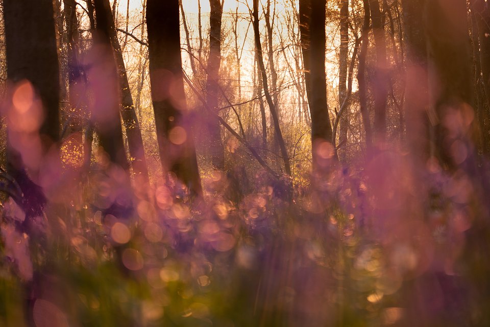 image processing20230818 1247 az6l9q