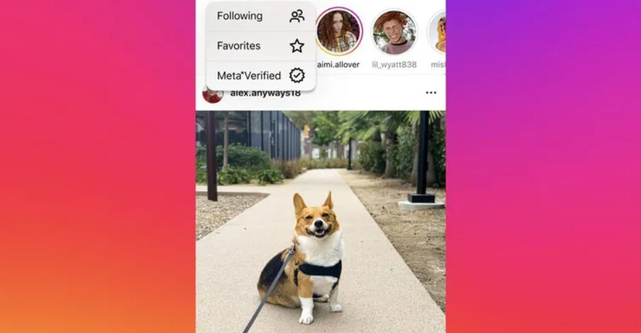 Instagram rozpoczął testowanie feedu zawierającego posty wyłącznie od zweryfikowanych użytkowników