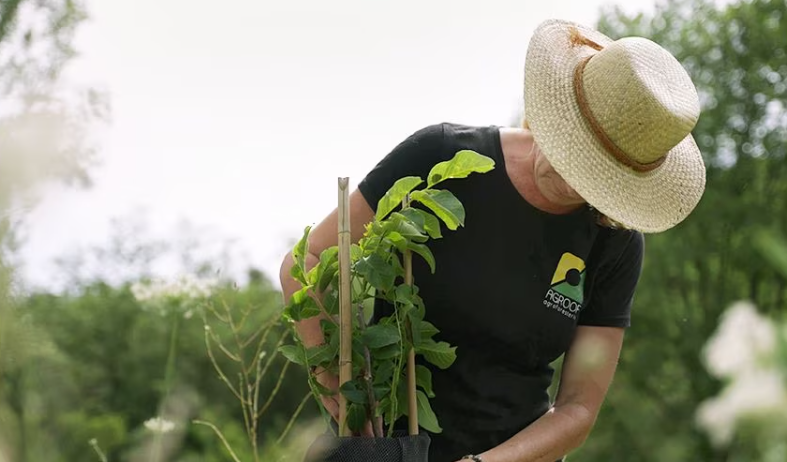 image processing20231012 2234989 19irjth