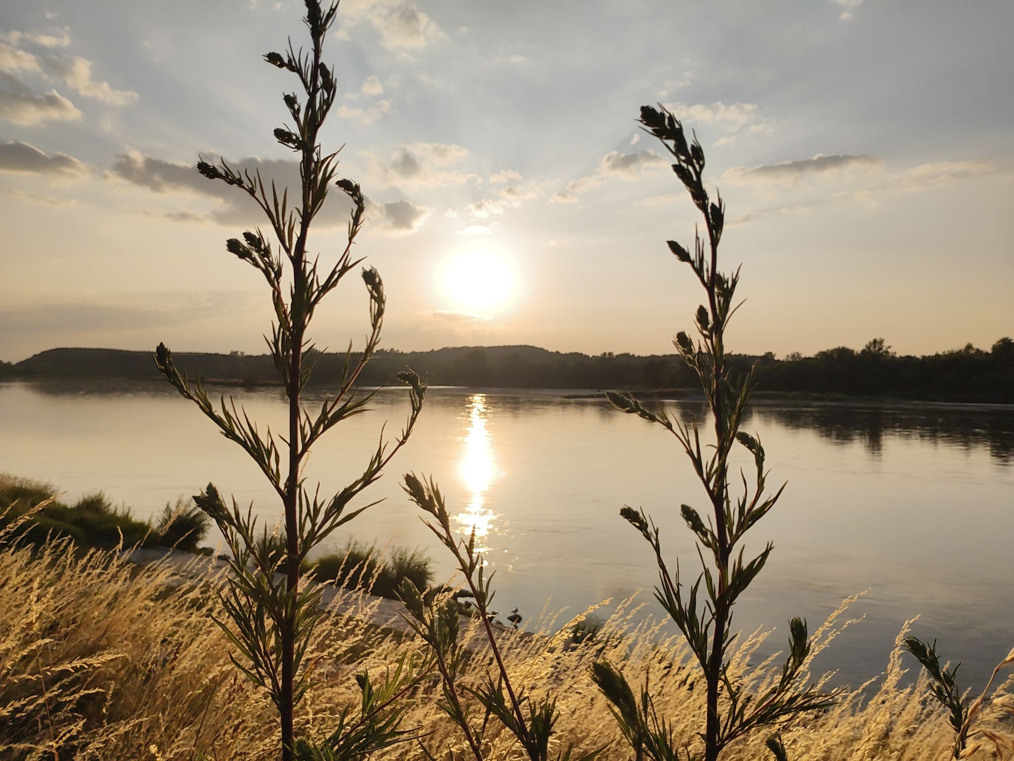 Motorola razr 40 ultra  (24)