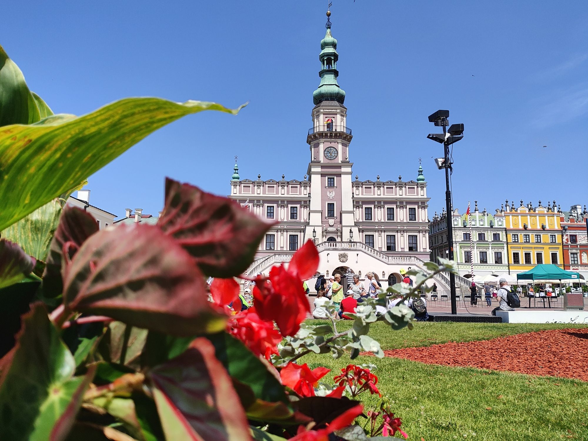 Motorola razr 40 ultra  (34)