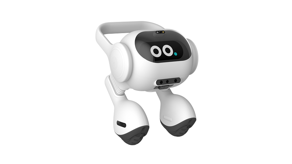 image processing20231227 2987610 14sv9ea