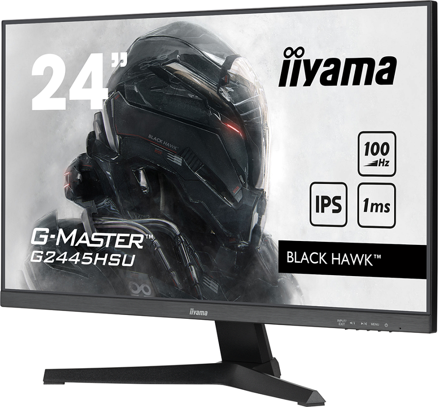 iiyama 2