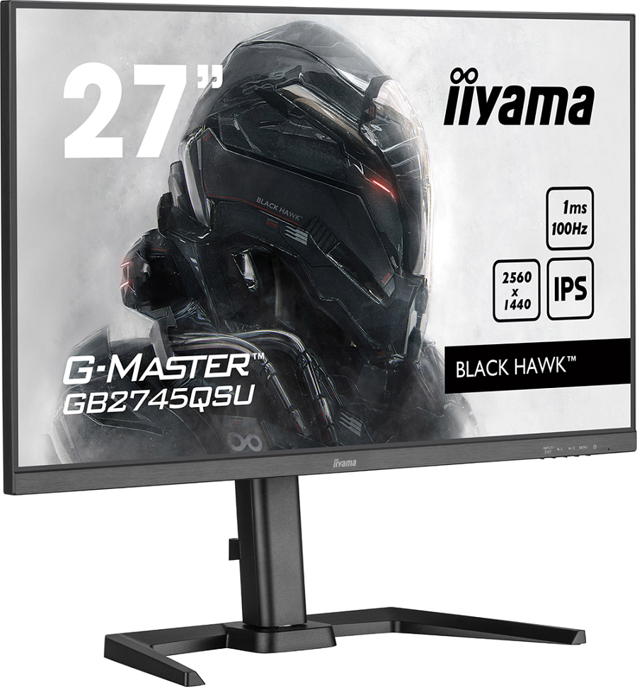 iiyama 3