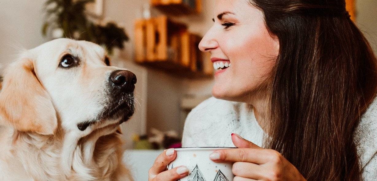 Nowość w PeoPay – Prośba o przelew BLIK