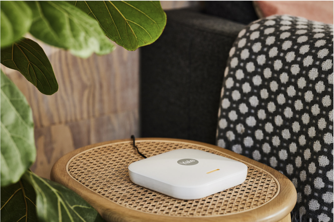 Снимок экрана 2024 02 01 в 19.30.11