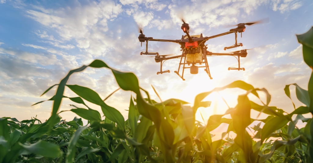 Jak technologia wspiera Rolnictwo 4.0