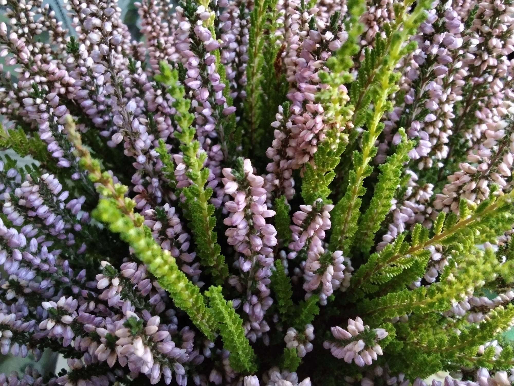 Xiaomi Redmi Pad SE 007