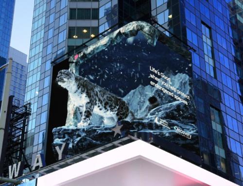 LG na Times Square rozpoczyna kampanię edukacyjną na temat gatunków zwierząt zagrożonych wyginięciem