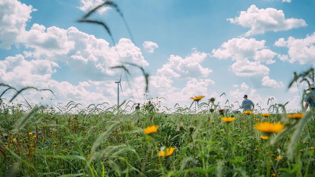 Pierwsze inwestycje Amazon