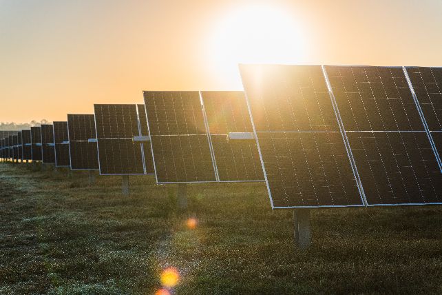 Amazon wspiera dwa nowe projekty energetyczne w Polsce, podwajając moc w zakresie energii odnawialnej w kraju