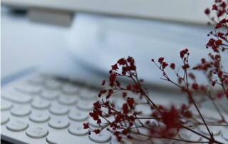 Lenovo i CampusAI Twoim portalem wiedzy na temat sztucznej inteligencji - zyskaj roczny dostęp do platformy edukacyjnej CampusAI