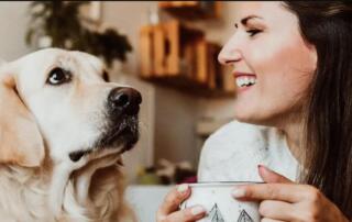 Już ponad pół miliona płatności BLIKIEM w mObywatelu