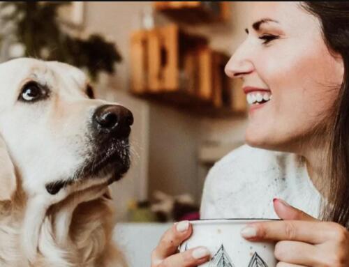 Już ponad pół miliona płatności BLIKIEM w mObywatelu