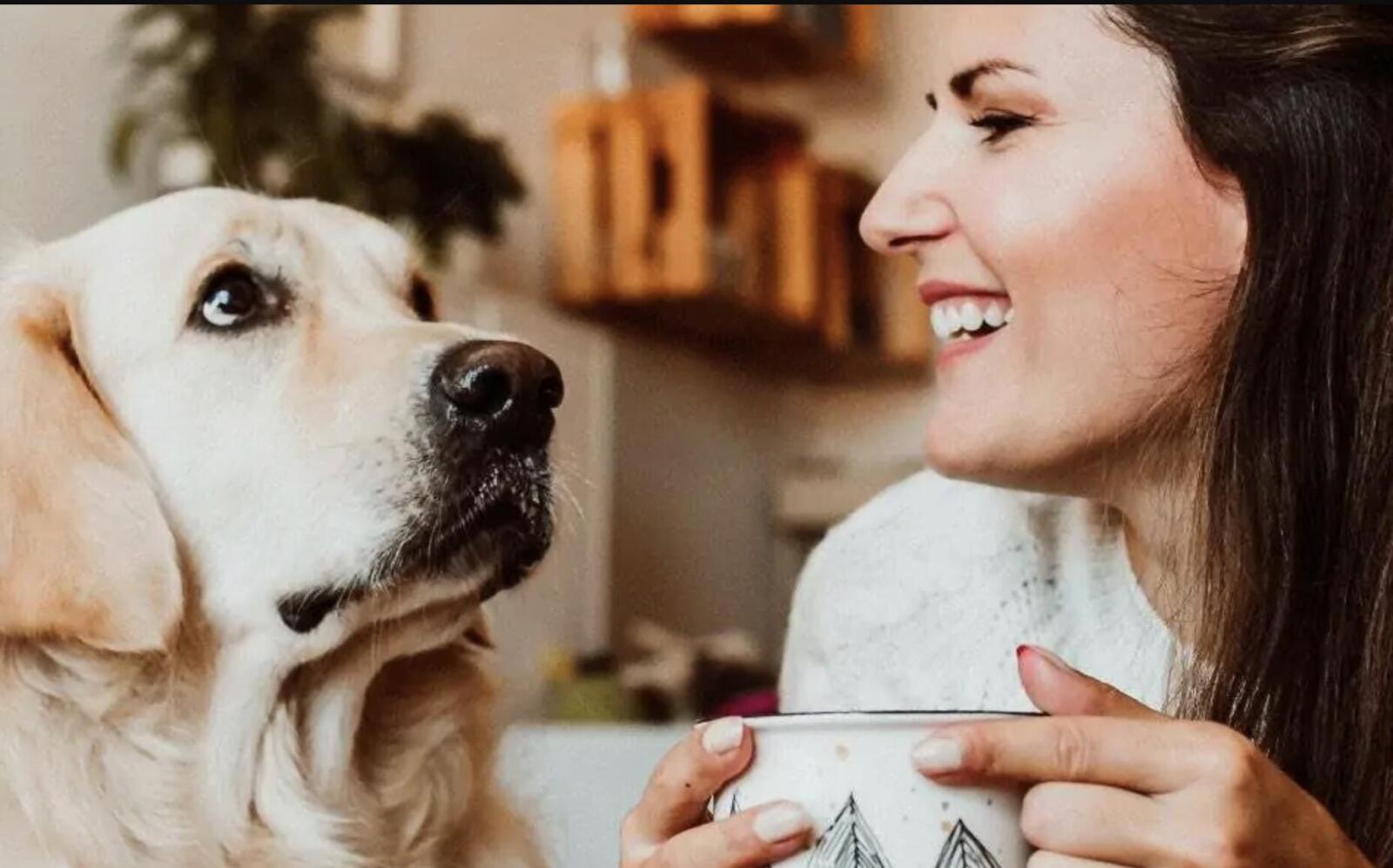 Już ponad pół miliona płatności BLIKIEM w mObywatelu