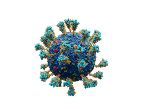 Jak COVID-19 wędrował po Polsce? Naukowcy prześledzili trasę wirusa